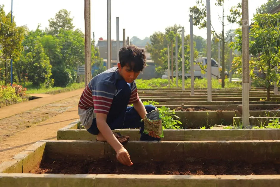 How Organic Seed Collections Lead to a Thriving Garden
