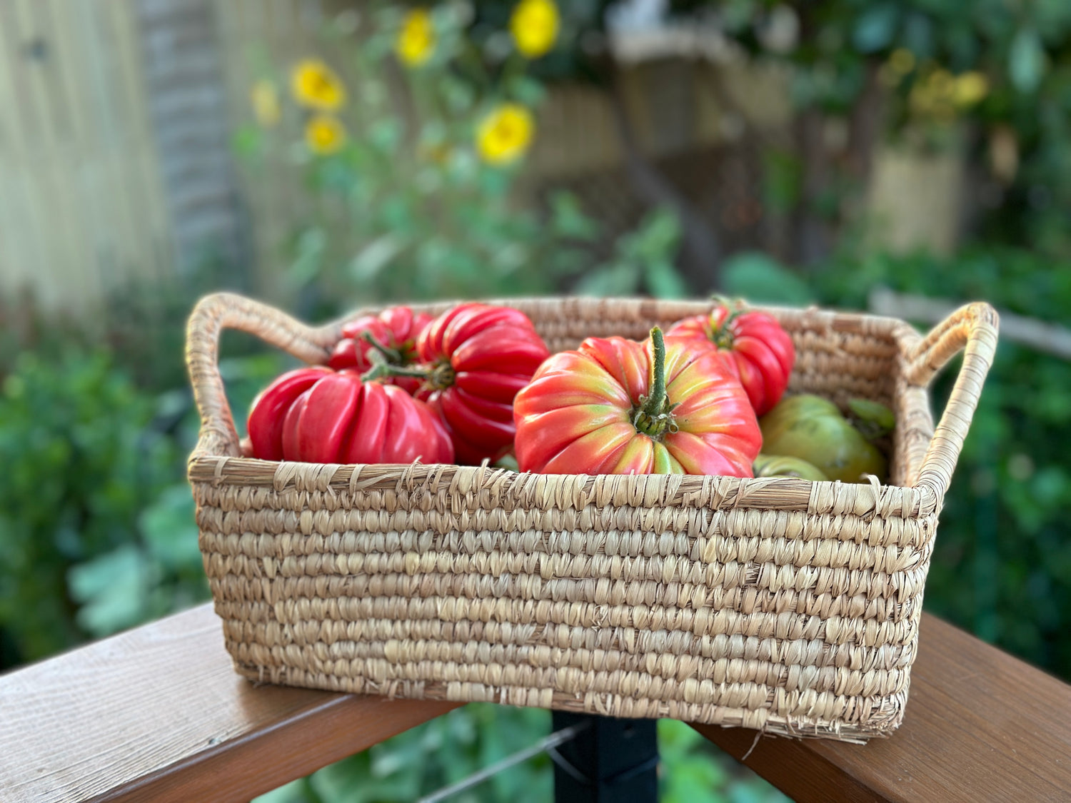 The Ultimate Guide to Starting Your Organic Garden