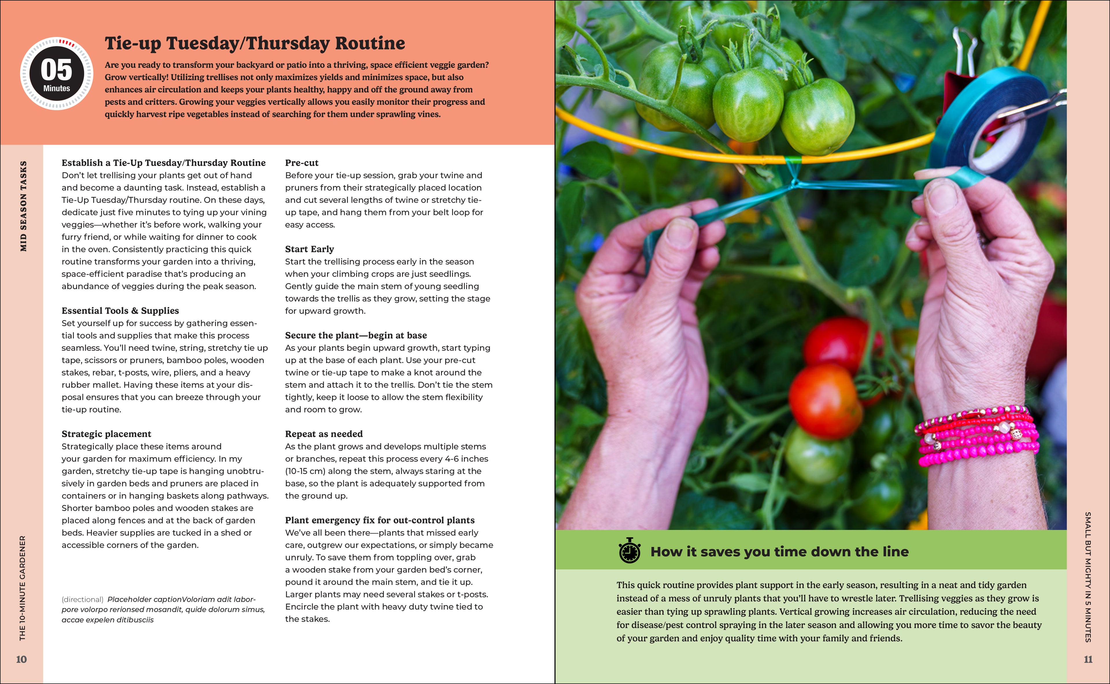 NEW! 10 Minute Gardener: How to Have a Veggie Garden and a Life - Signed & Personalized