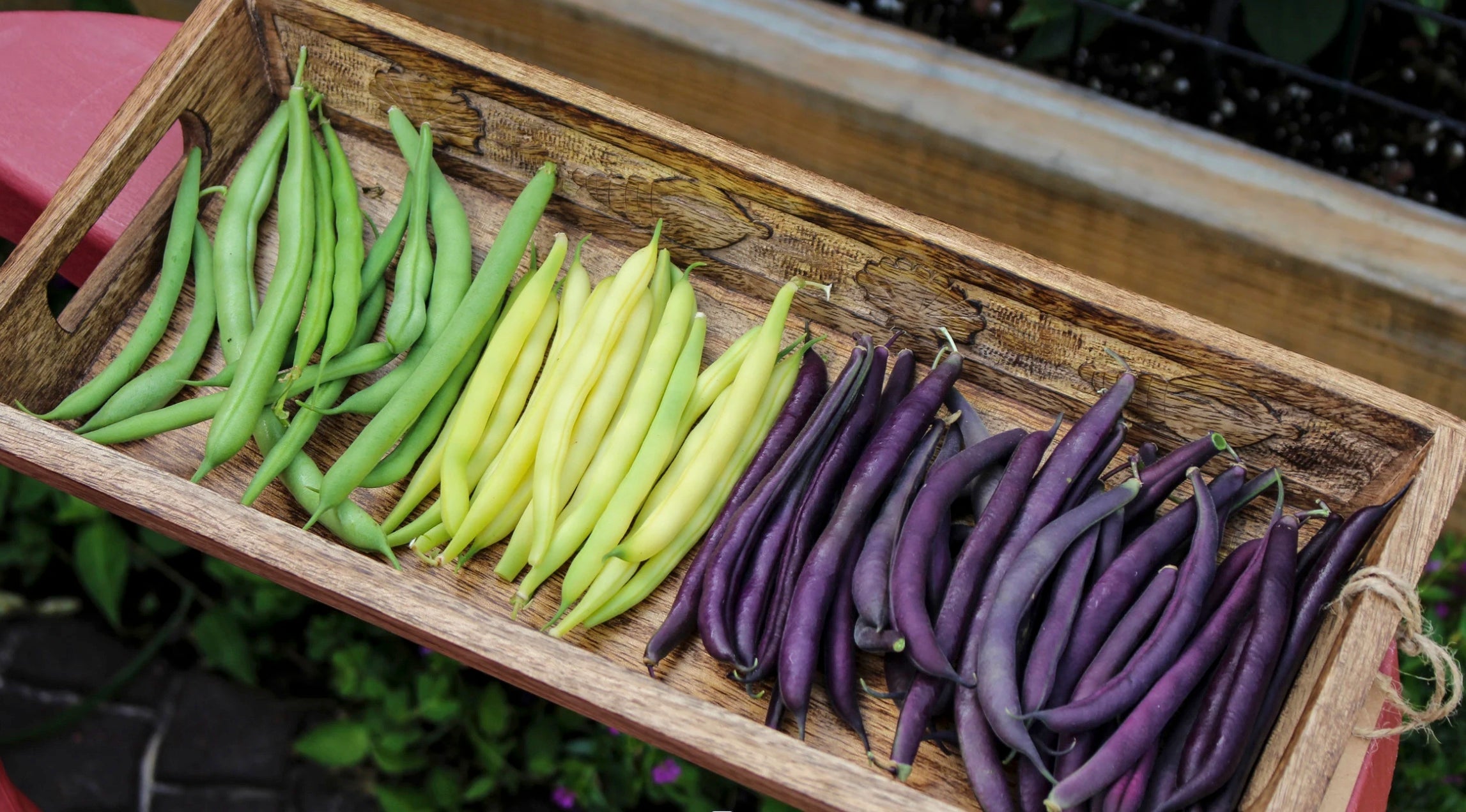 Summer Harvest Seed Bundle — Keep Your Garden Harvesting All Summer