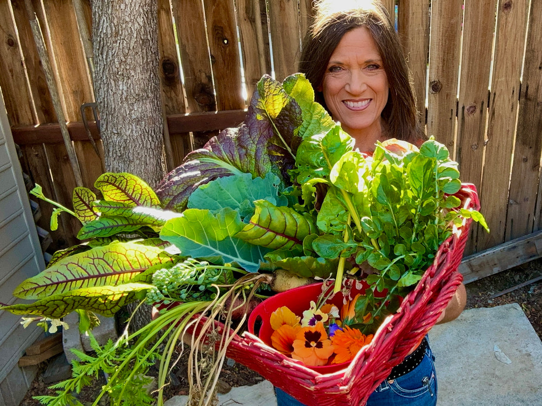 Fall Garden Seed Collection | Harvest Sooner This Fall