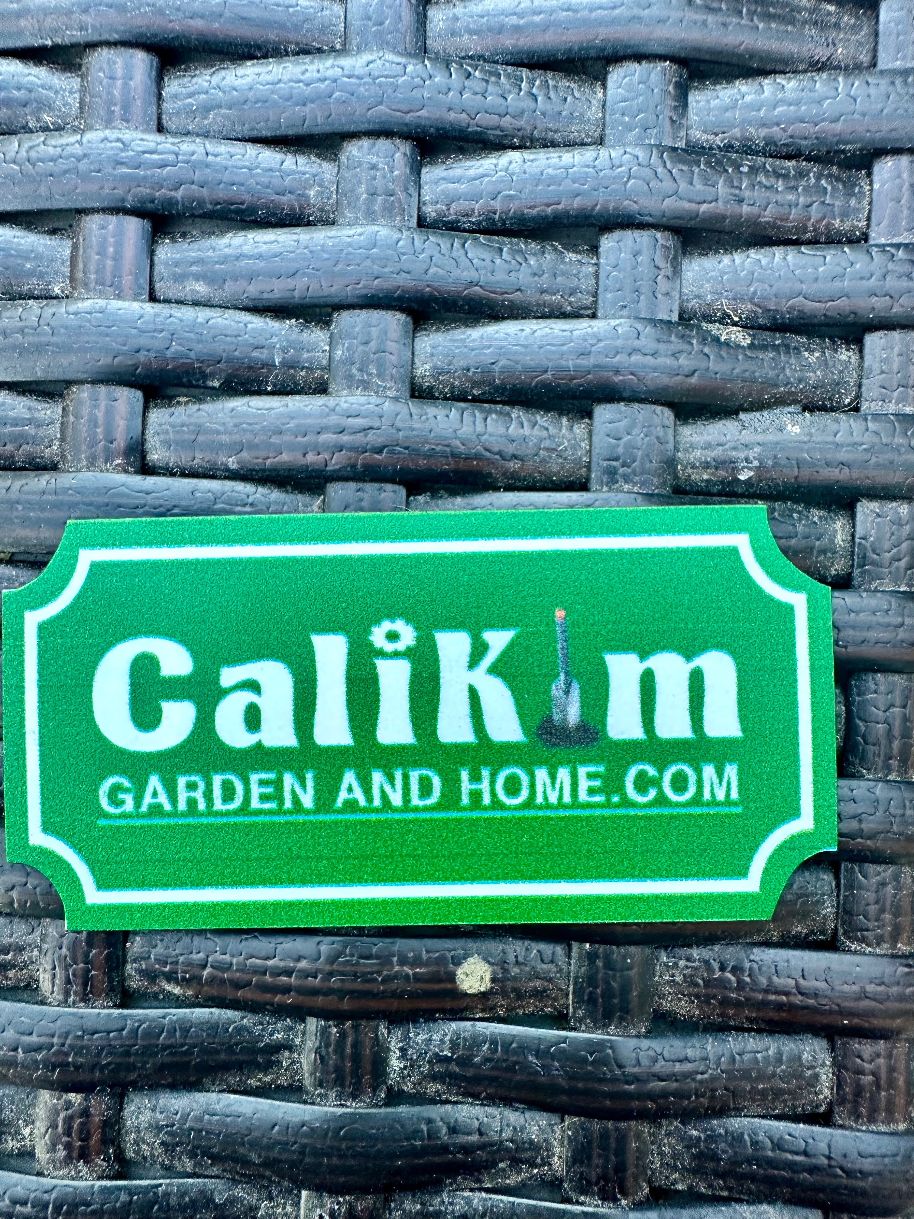 CaliKim Ticket Magnet