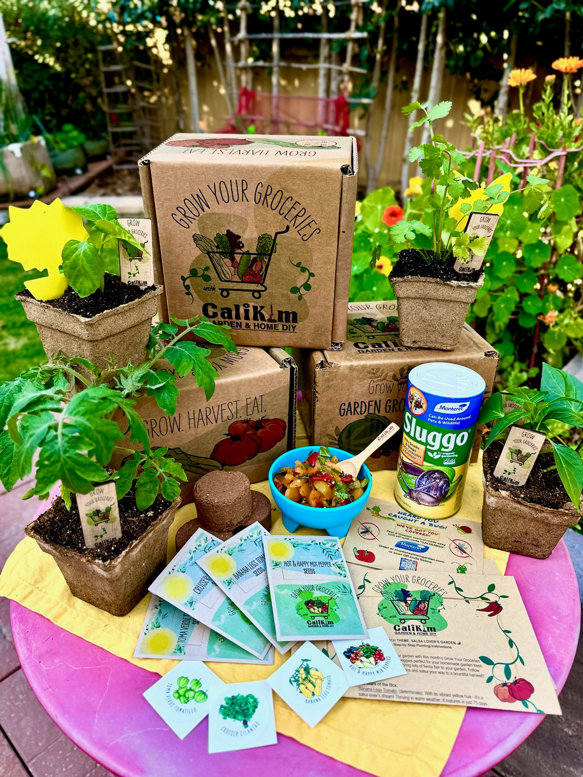 &quot;Salsa Garden&quot; Grow Your Groceries Gift It! Box