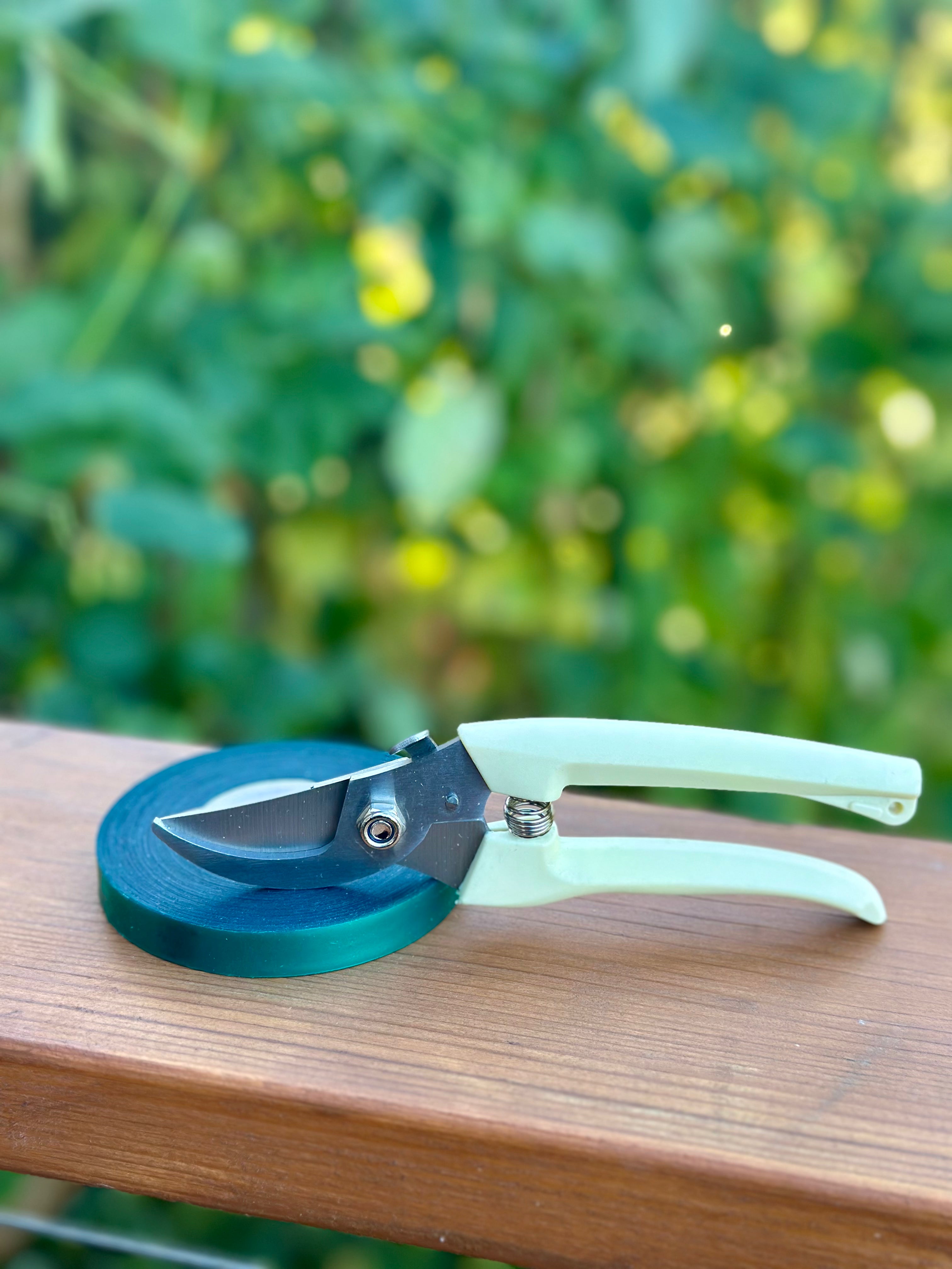 Pruning Set - curved blade