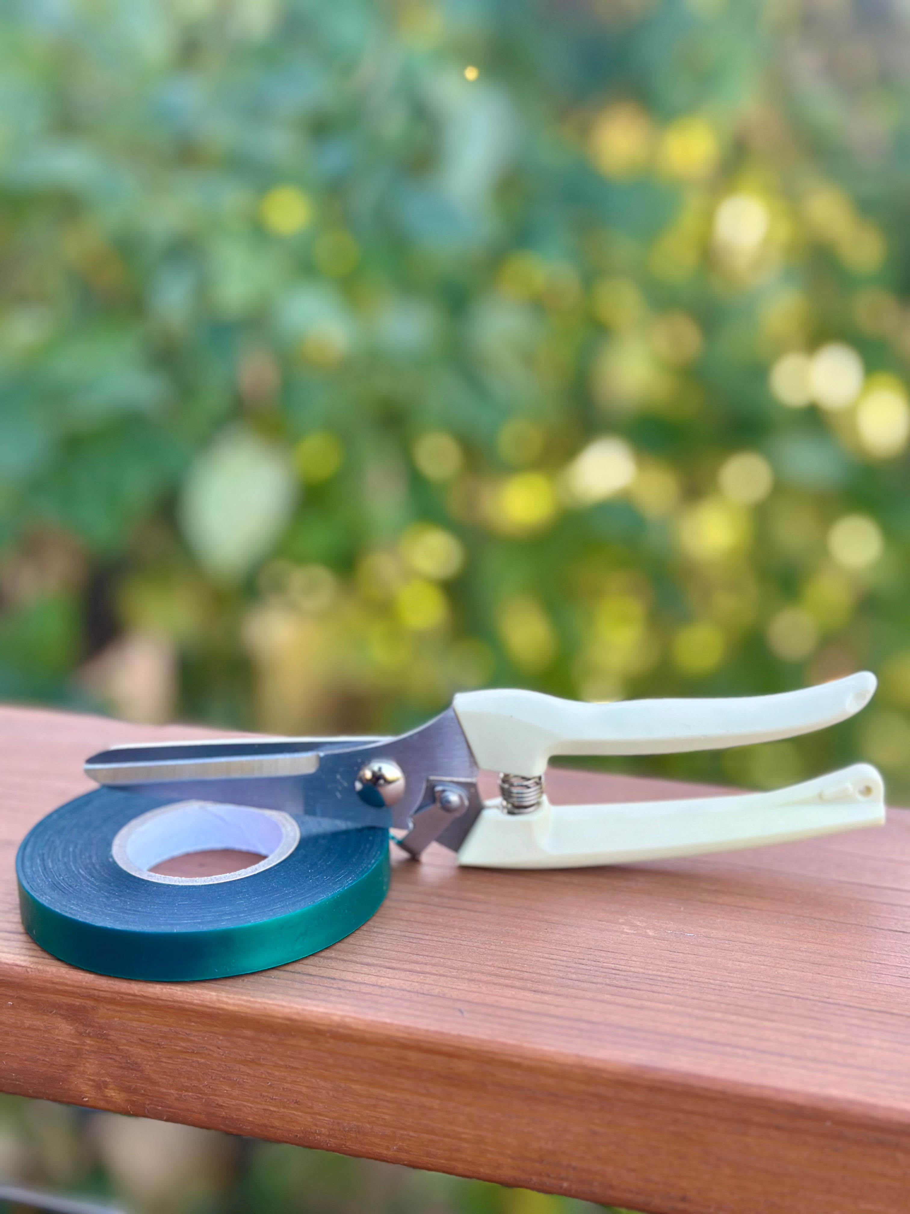 Pruning Set - straight blade