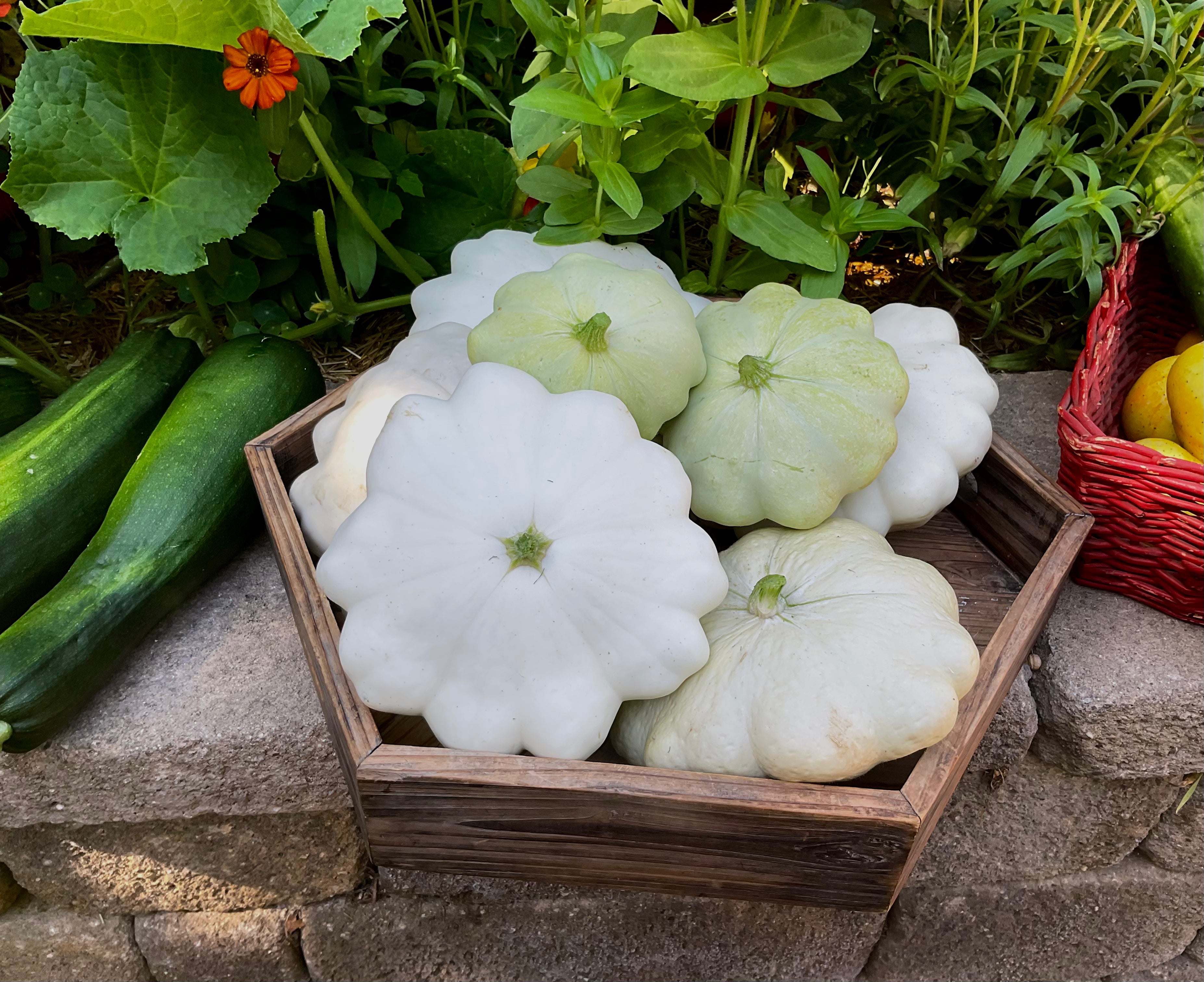 Container Garden Seed Collection (Heirloom)