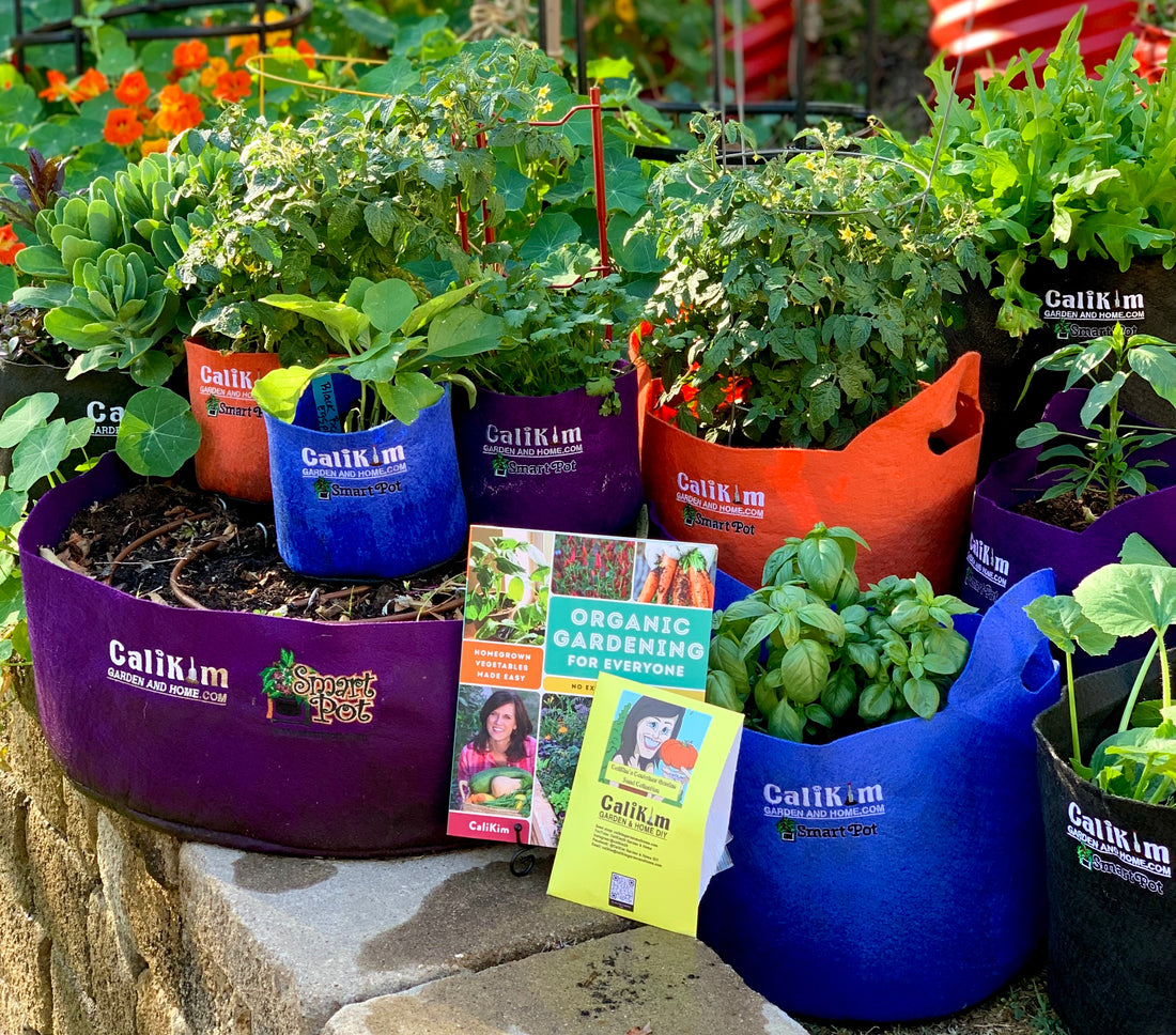 Container Garden Kit- Ultimate *NEW VARIETIES JUST ADDED!