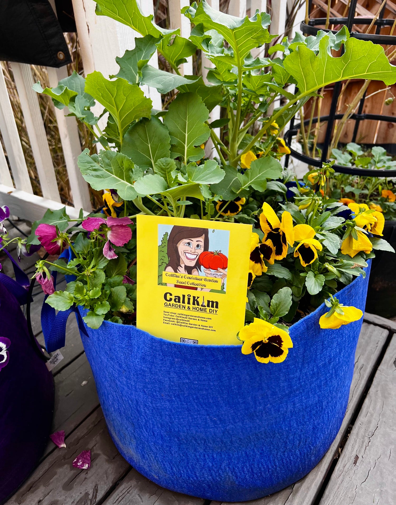 NEW! Container Garden Seed/Book Bundle | The 10-Minute Gardener Signed & Personalized