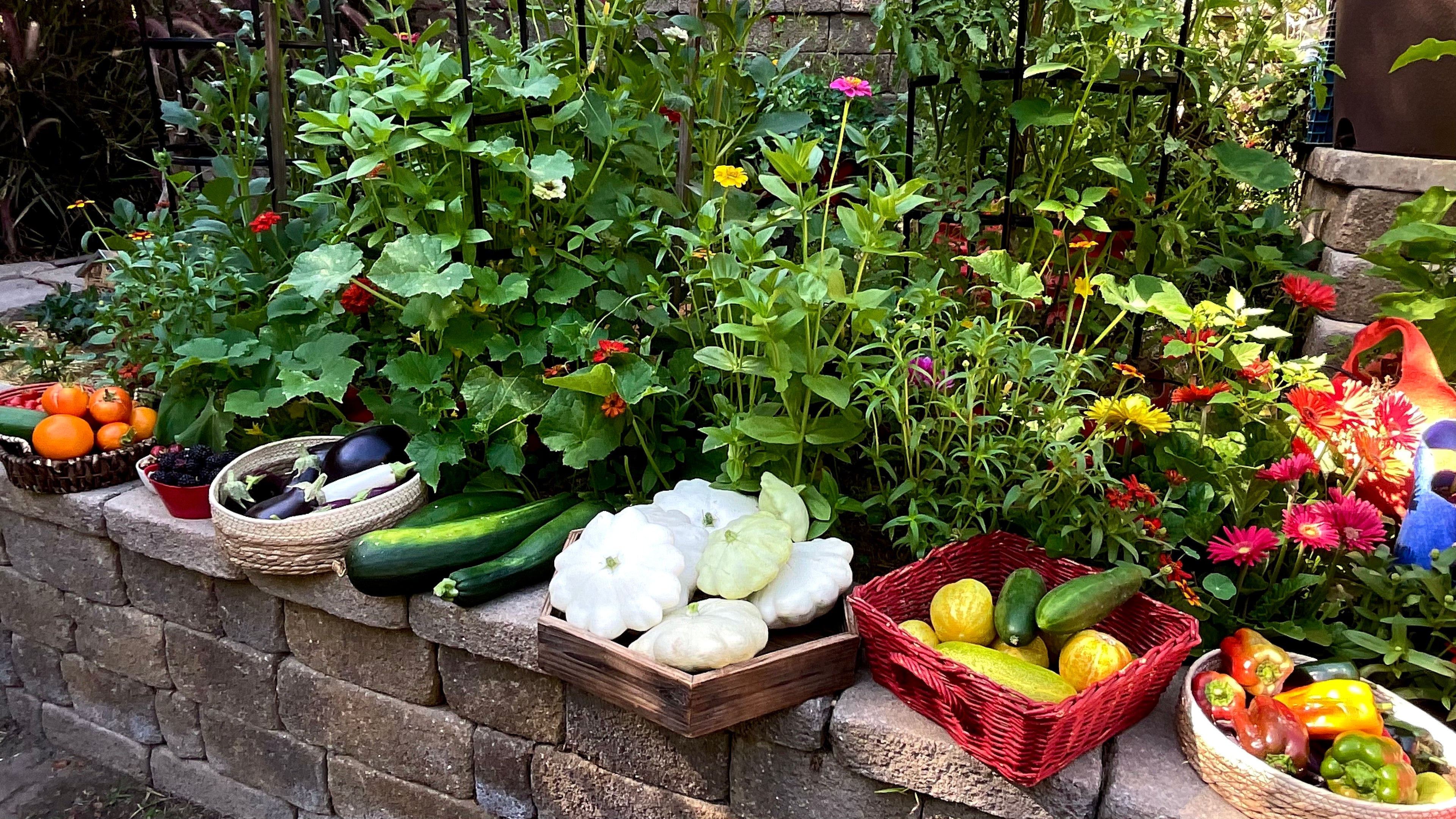 Organic Gardening for Everyone: Homegrown Vegetables Made Easy, Signed &amp; Personalized, with Spring Garden Seed Collection -  Seed/Book Bundle