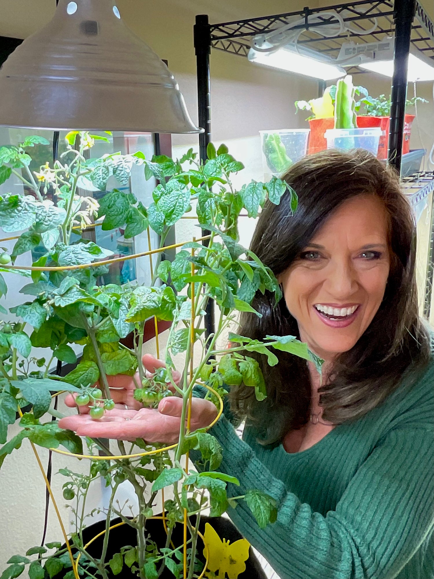 Indoor Garden Seed Collection  - ALL NEW & IMPROVED!
