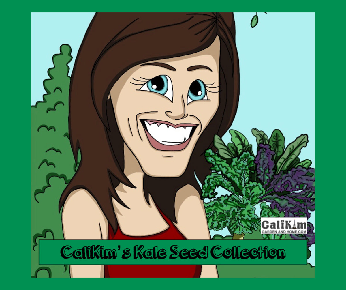 Kale Seed Collection (Heirloom)