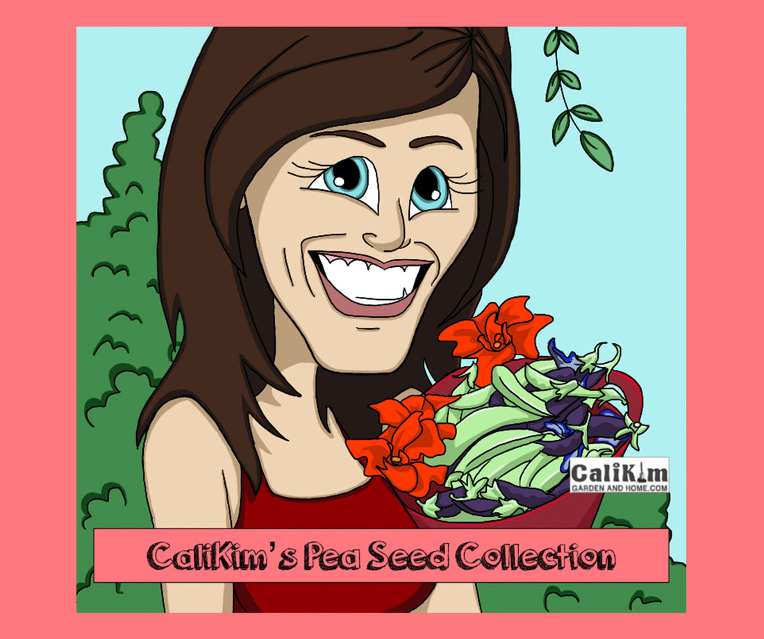 Pea Seed Collection