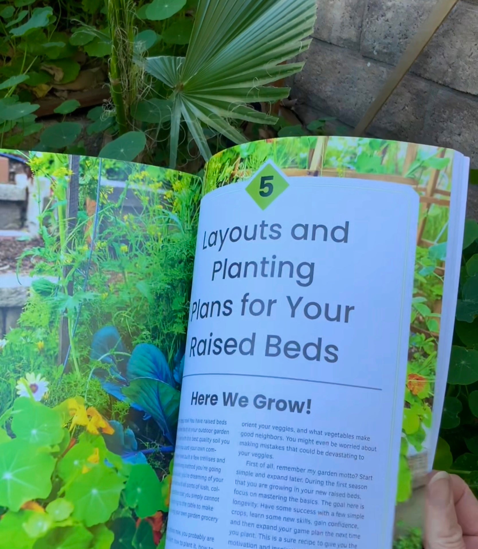 The First Time Gardener:Raised Bed Gardening - Signed & Personalized with Raised Bed Kitchen Garden Seed Collection - Seed/Book Bundle