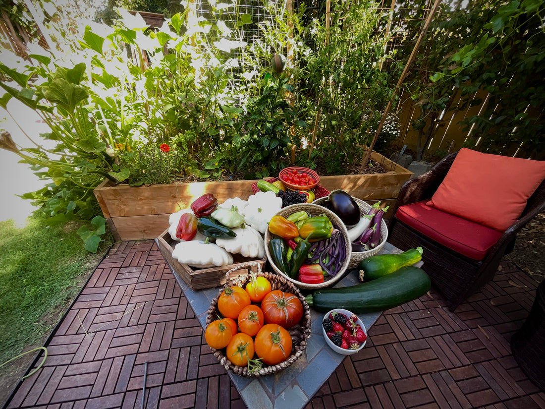 Raised Bed Kitchen Garden Seed Collection NOW UPDATED with fresh, fun varieties!