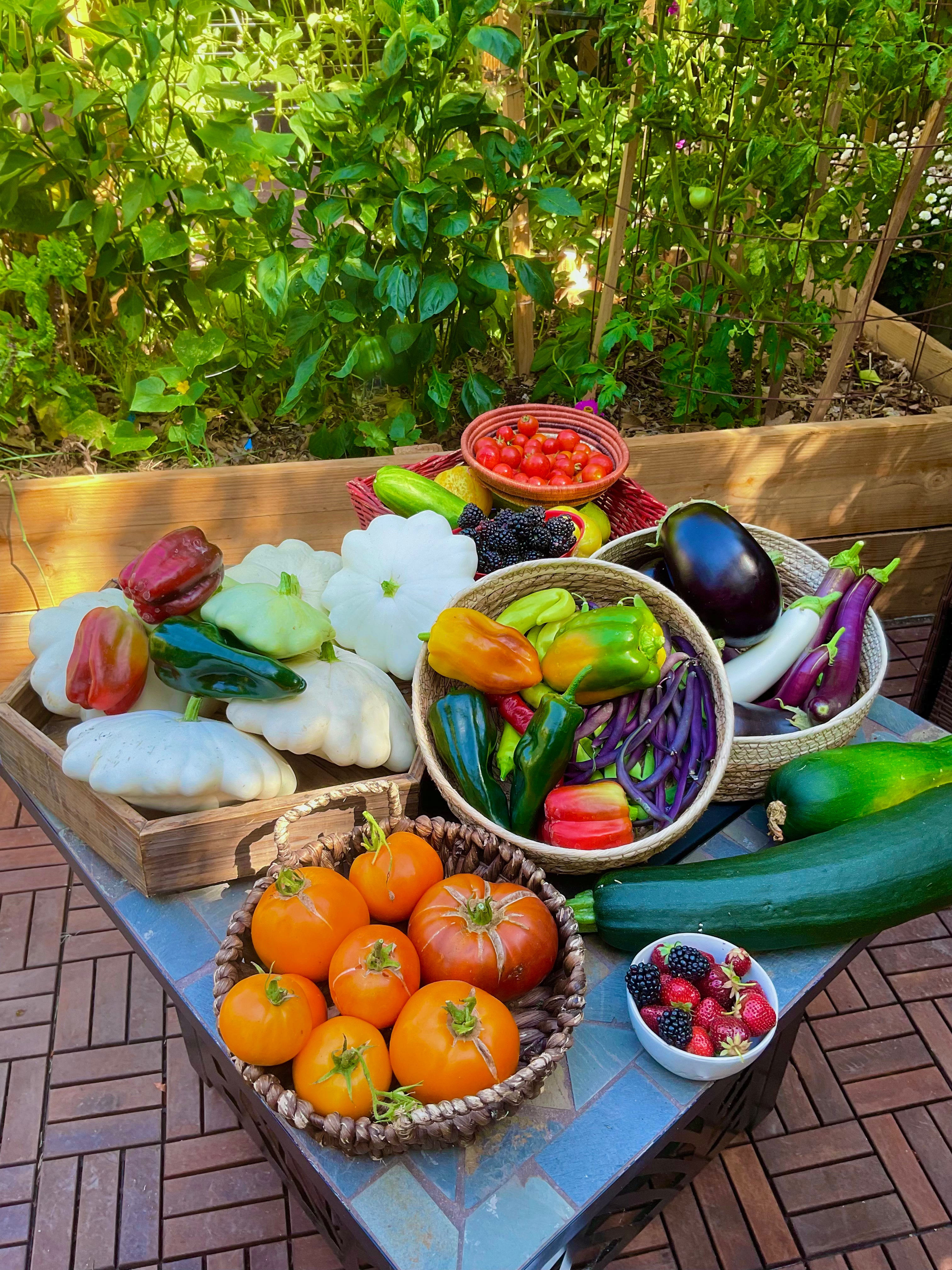 The First Time Gardener:Raised Bed Gardening  - Signed &amp; Personalized with Raised Bed Kitchen Garden Seed Collection -  Seed/Book Bundle