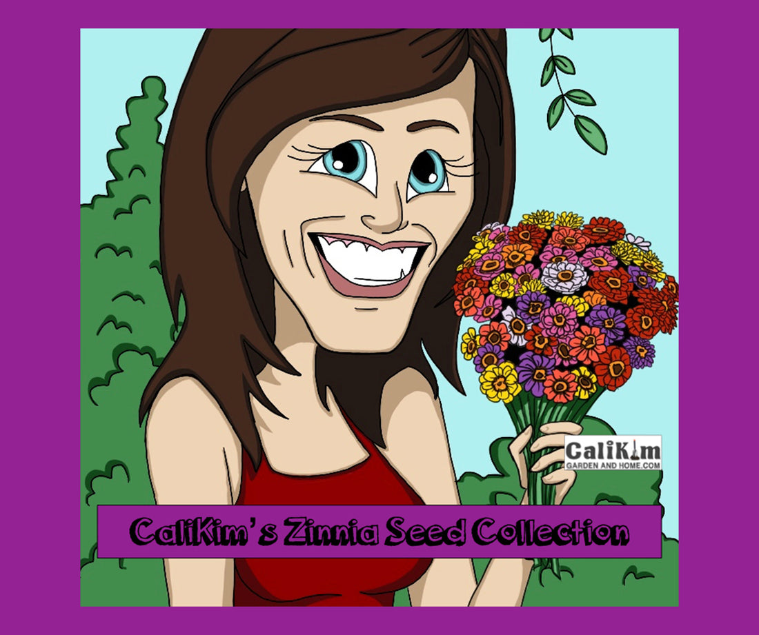 Zinnia Seed Collection (Heirloom)