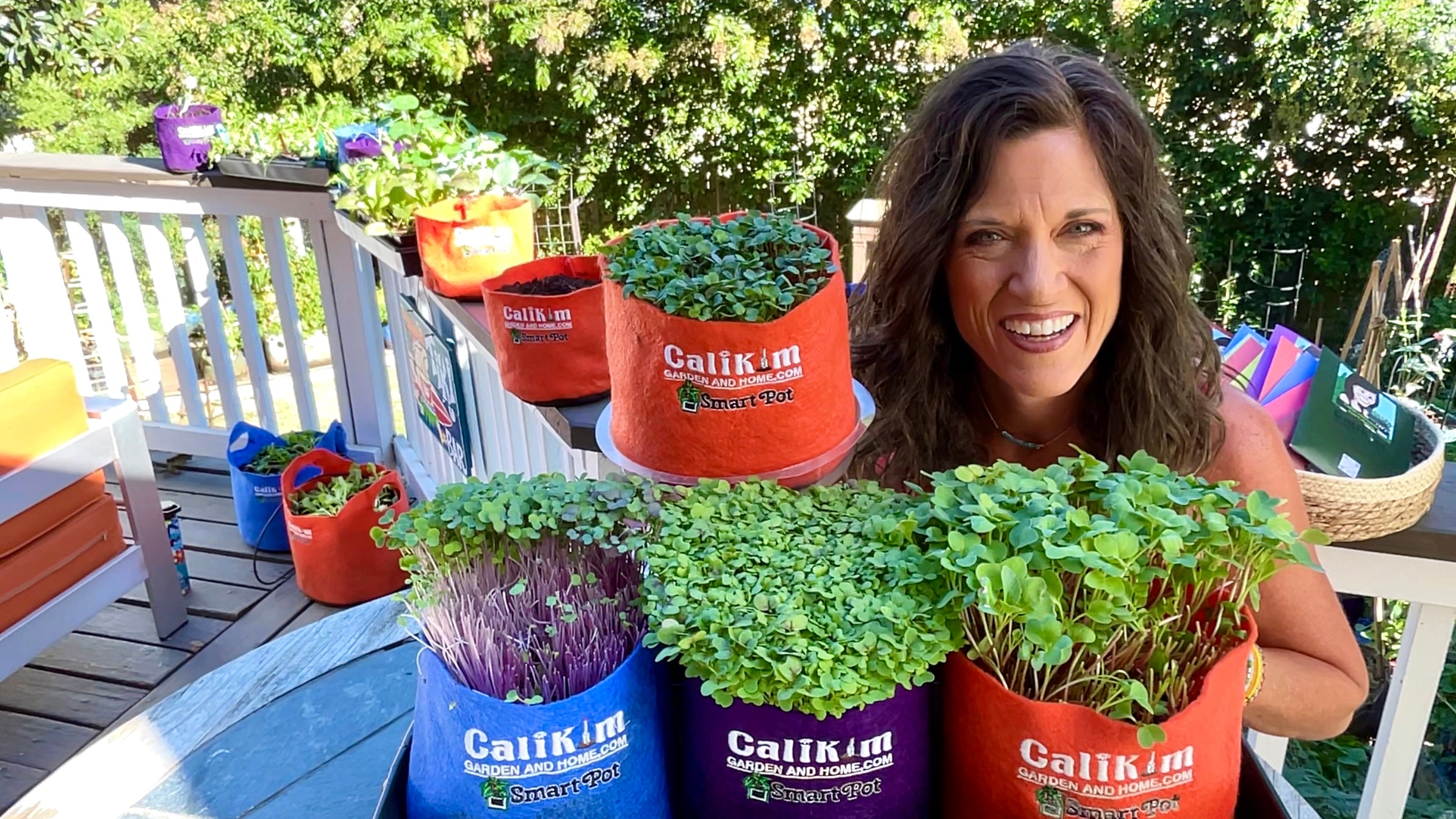 Microgreens Seed Collection - ALL NEW & IMPROVED!