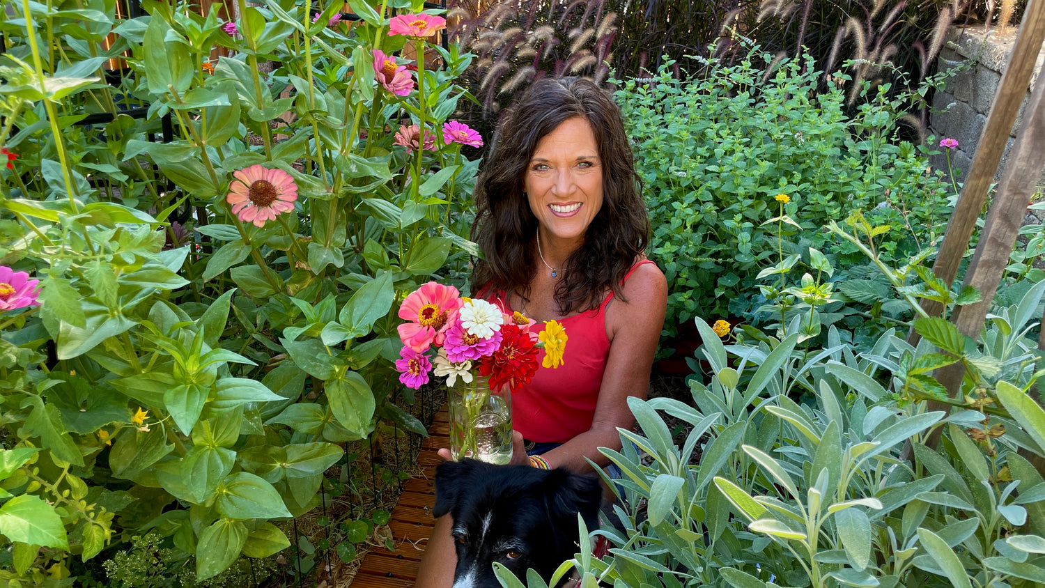 Zinnia Seed Collection (Heirloom