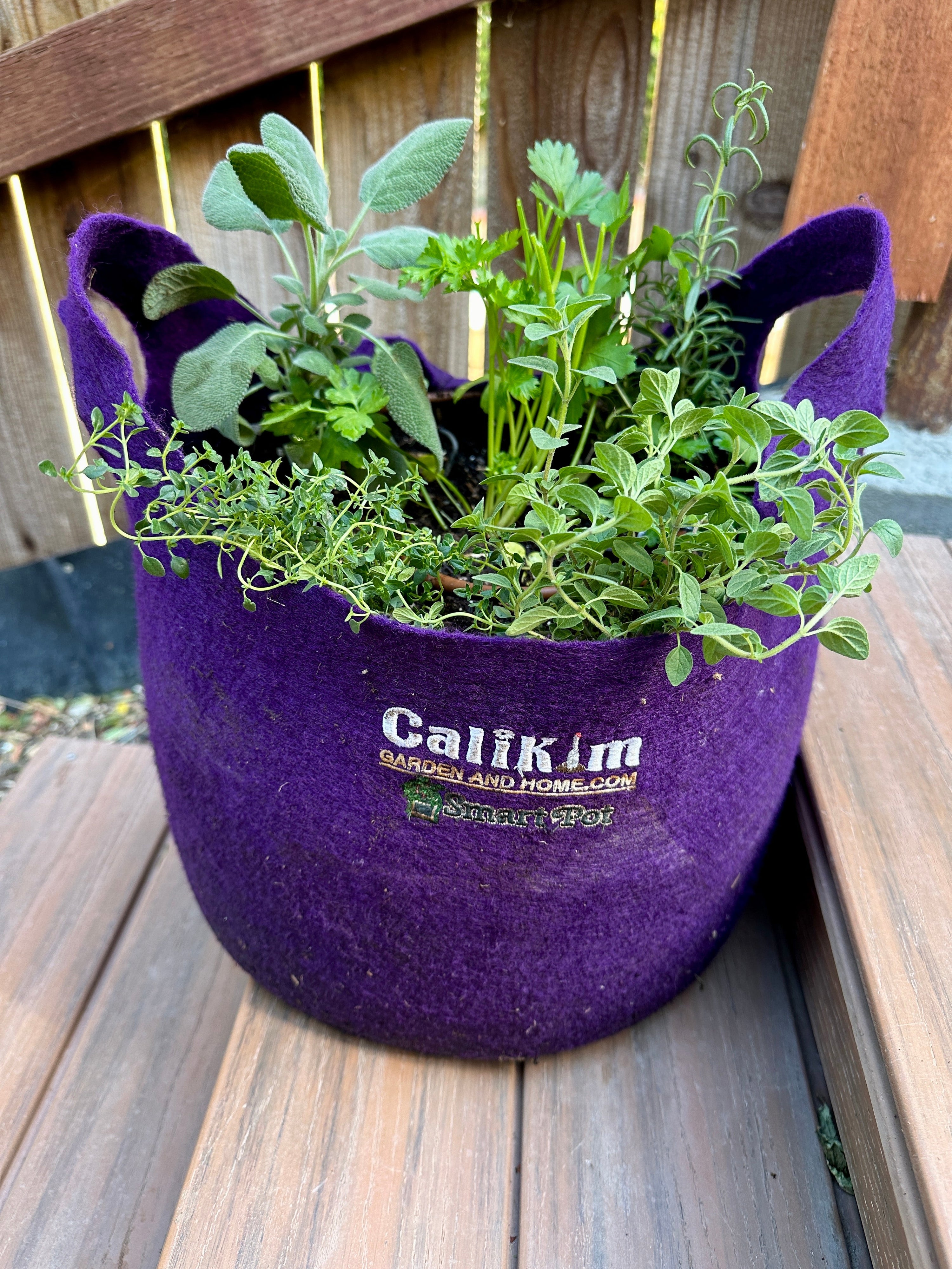 8 Essential Tips for Growing Herbs in CaliKim Smart Pots