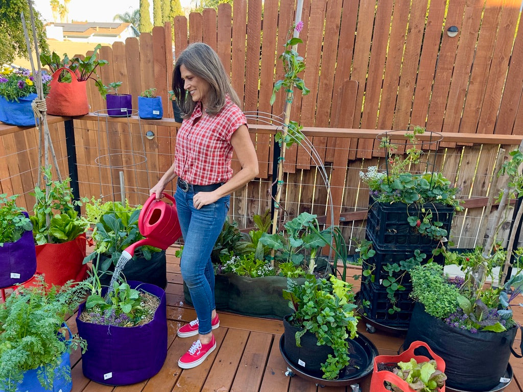 How Garden Kits Can Transform Your Backyard into a Green Haven