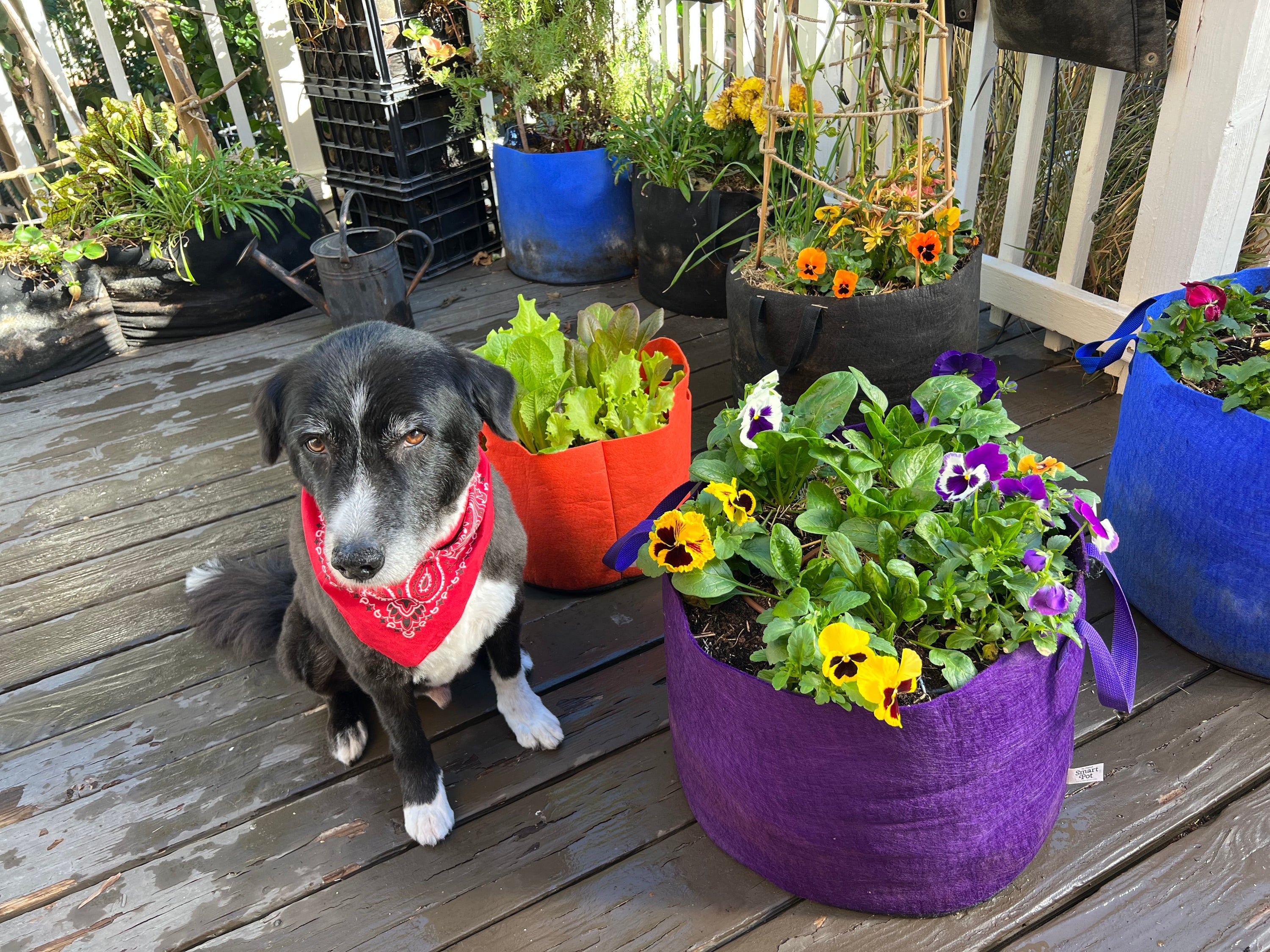 How Do I Choose the Right Garden Kit for My Needs?