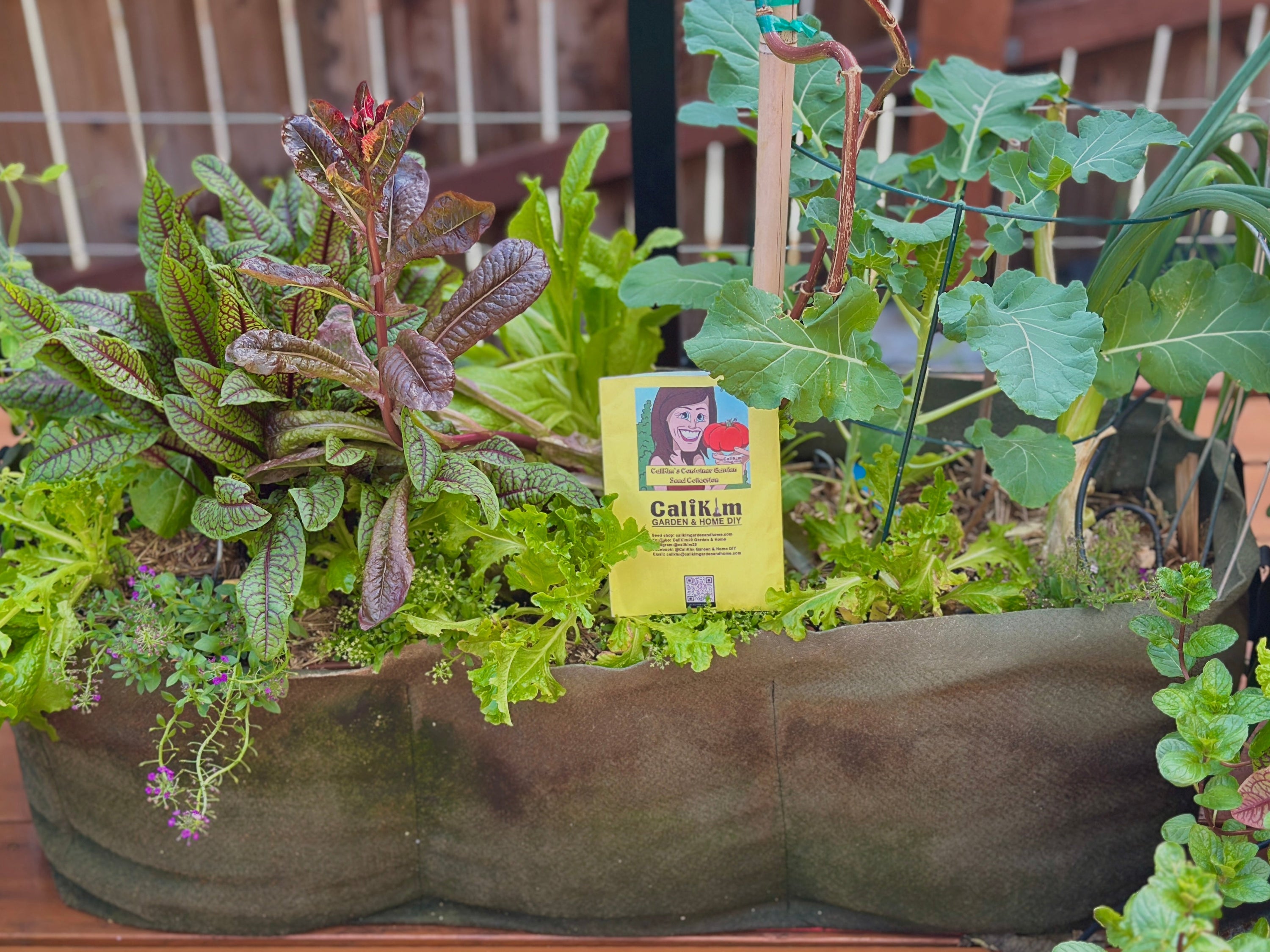 What Are Garden Kits and How Can They Benefit New Gardeners?