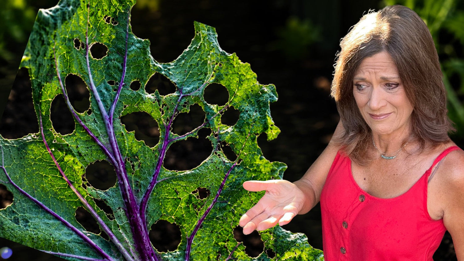 Are Pests Destroying Your Garden? How to Identify the Problem and Choose the Right Treatment