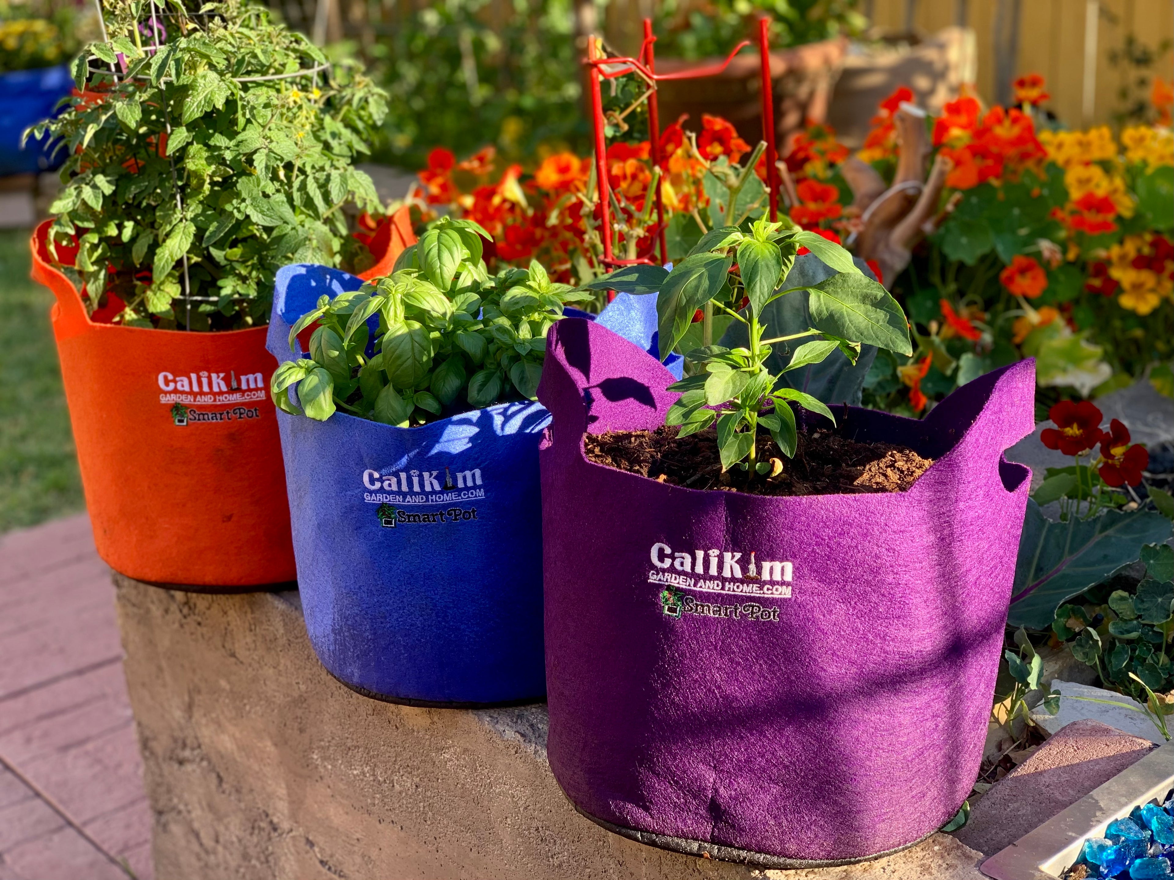 Garnen 20 Gallon Garden Grow Bag with Handles - 5 Pack - Black/Green