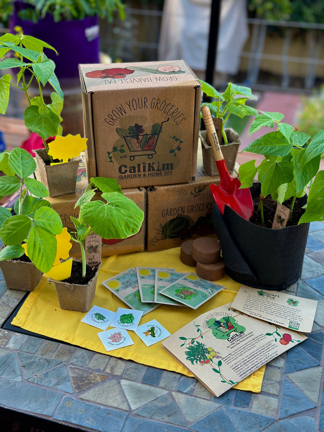 May "Power Producer Garden" Grow Your Groceries Gift It! Box