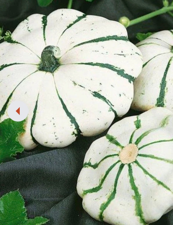 Summer Harvest Seed Bundle — Keep Your Garden Harvesting All Summer