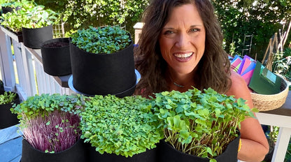 Microgreens Seed Collection — Fresh Greens in Days