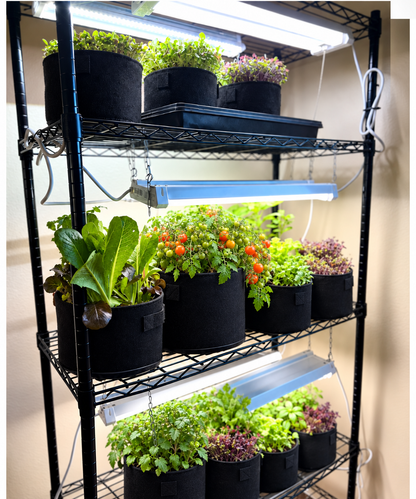 Indoor Garden Seed Collection — Fresh Food, Right in Your Kitchen