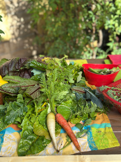 Fall Garden Seed Collection | Harvest Sooner This Fall