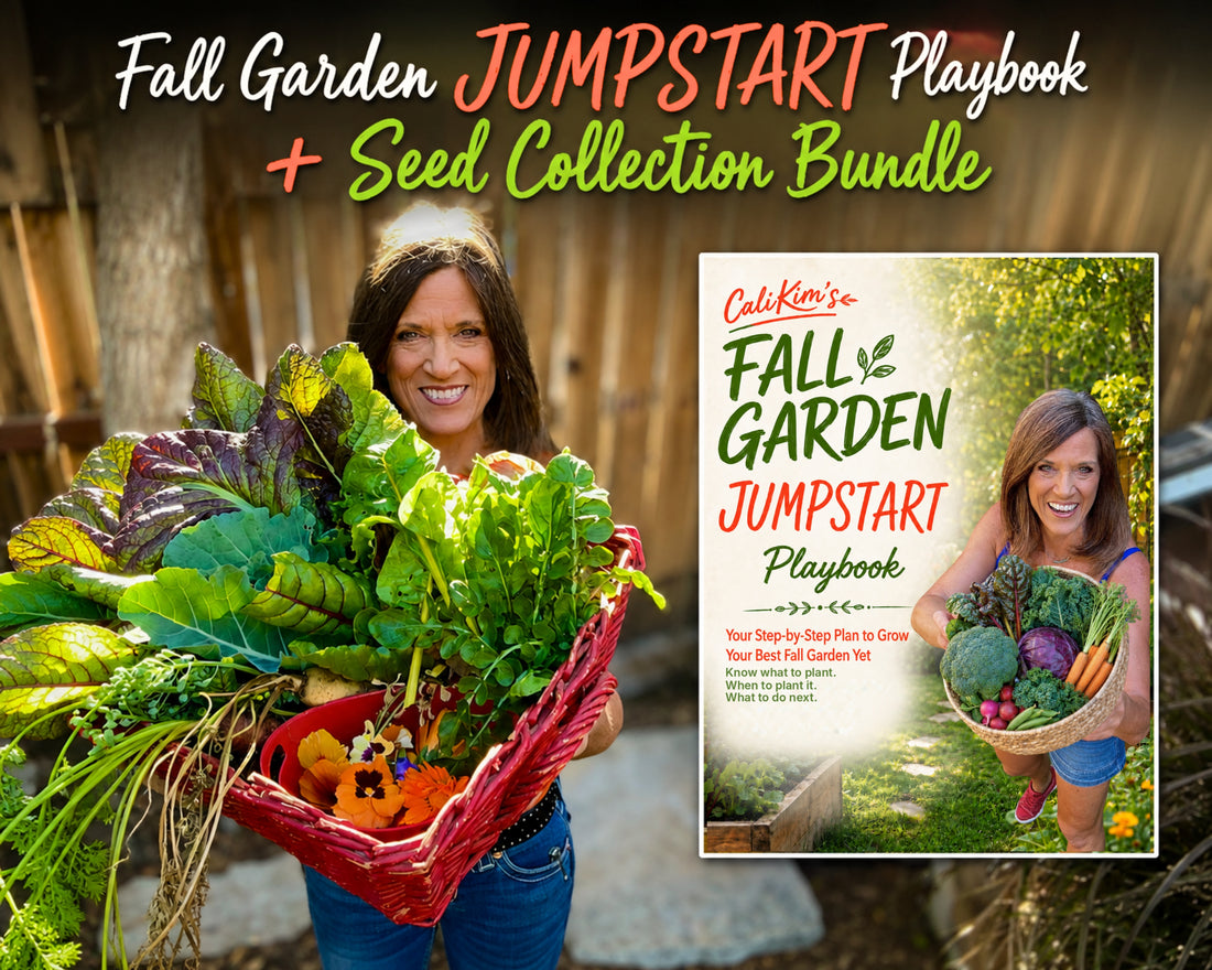 Fall Garden Jumpstart Playbook + Seed Collection Bundle