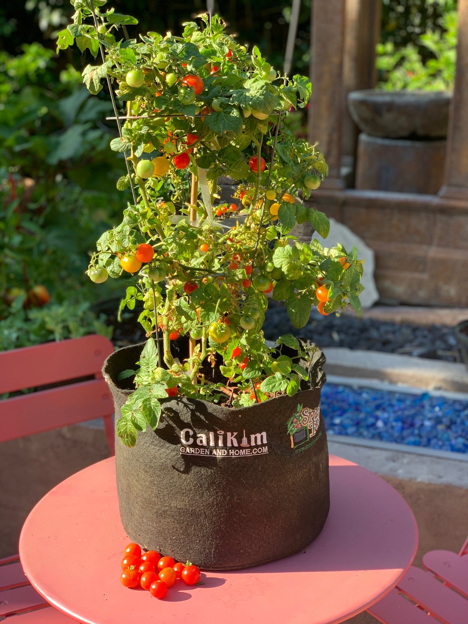 5 Pack 3 Gallons Grow Bags Healthy Smart Gardening Pots