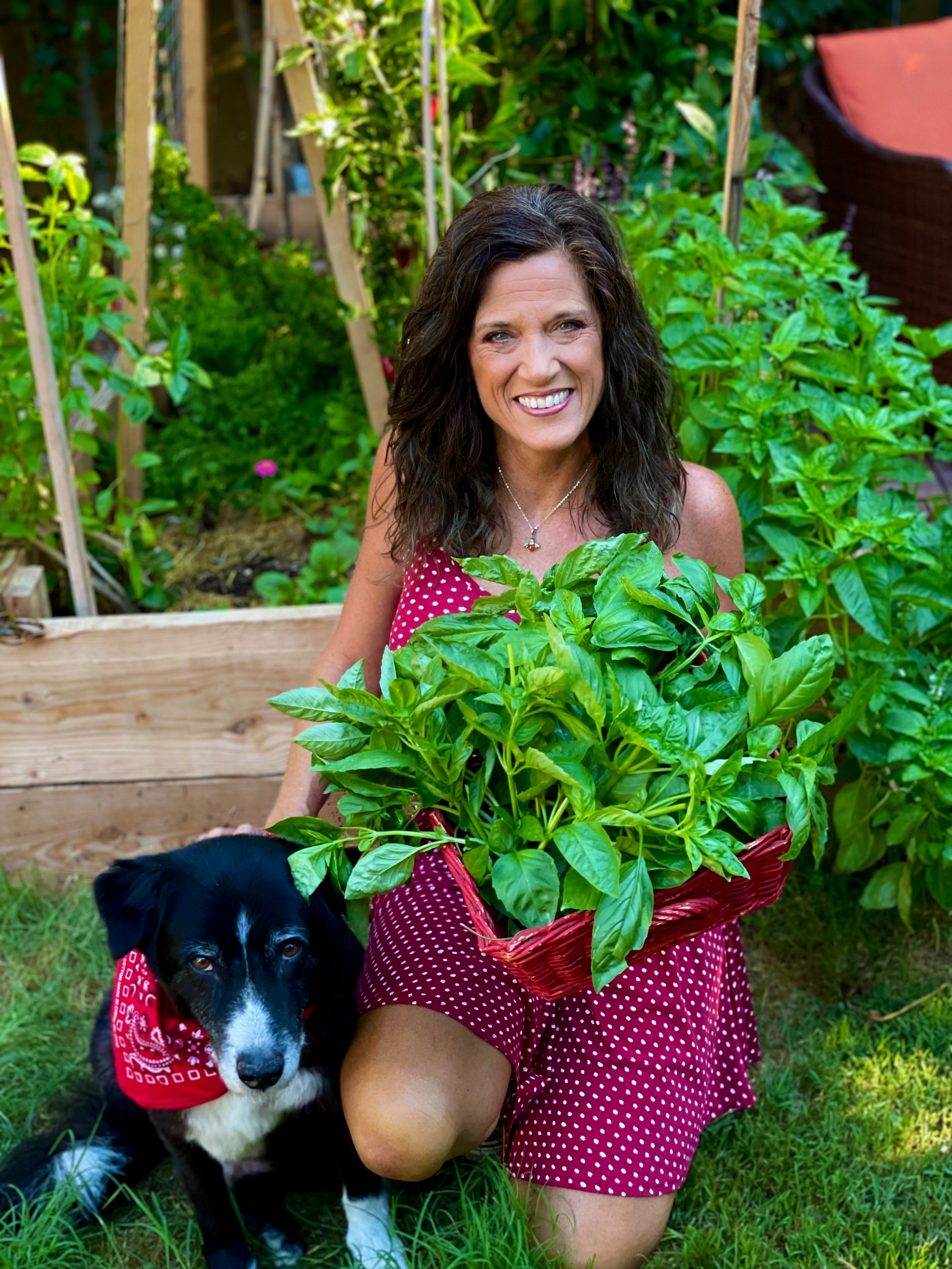 Organic Gardening for Everyone: Homegrown Vegetables Made Easy, Signed &amp; Personalized, with Spring Garden Seed Collection -  Seed/Book Bundle