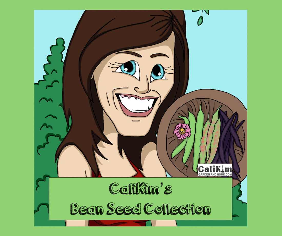 Bean Seed Collection NEW VARIETIES JUST ADDED