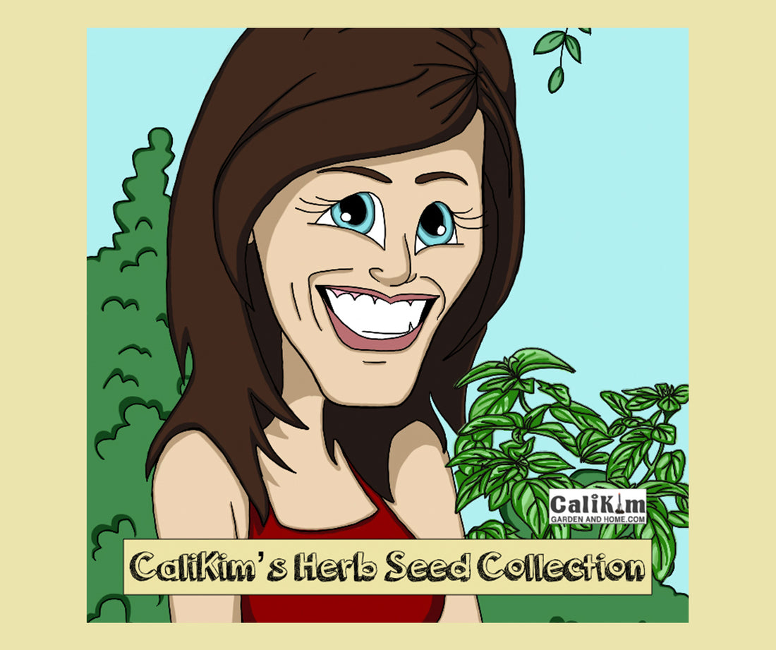 Herb Seed Collection NEW VARIETIES JUST ADDED!