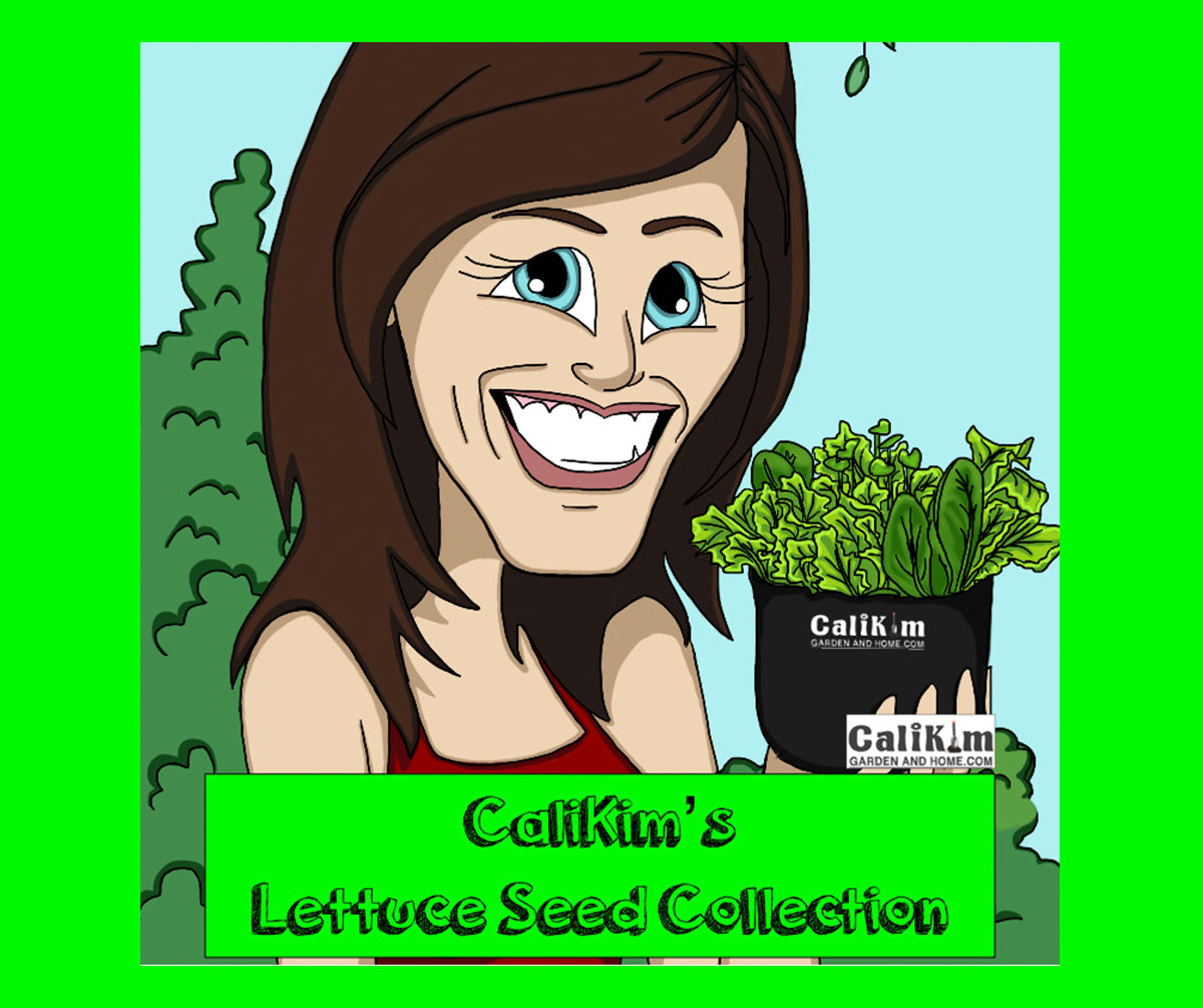 Lettuce Seed Collection (Heirloom) *NEW VARIETIES JUST ADDED!