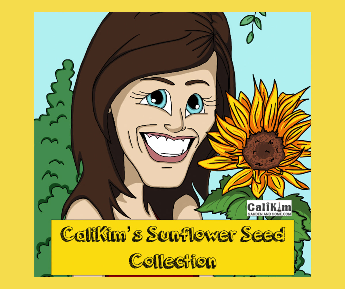 Sunflower Seed Collection