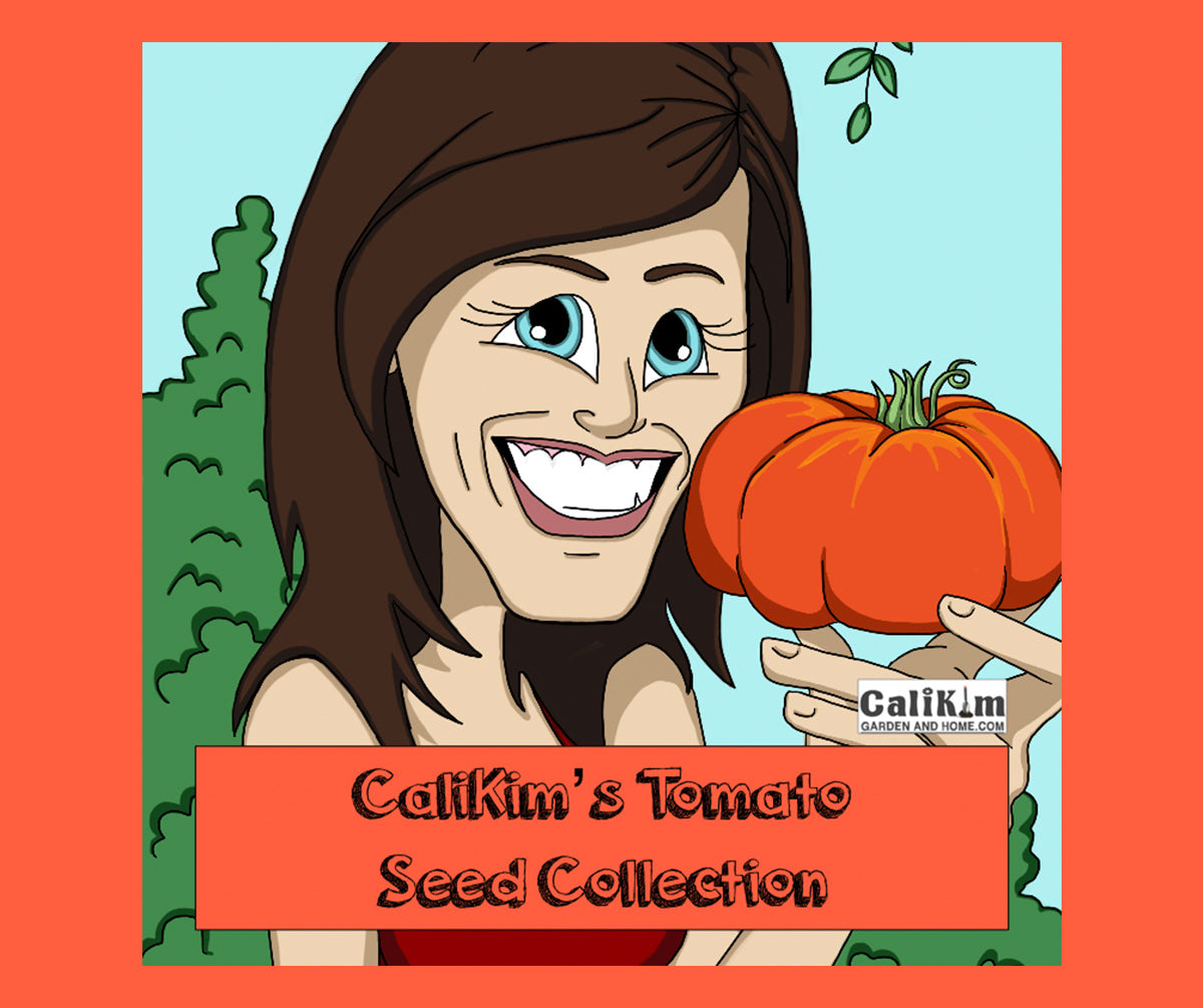 Tomato Seed Collection (Heirloom)  NEW VARIETIES JUST ADDED!
