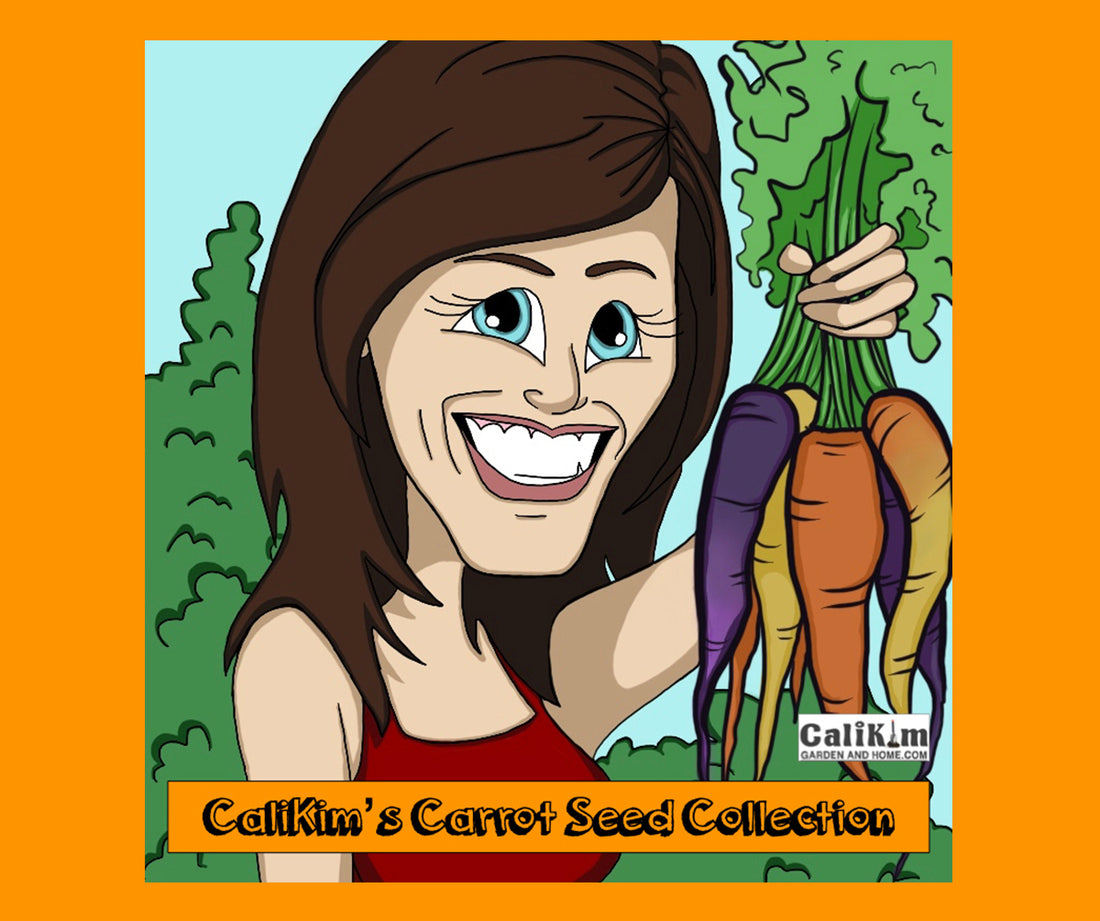 Carrot Seed Collection (Heirloom)