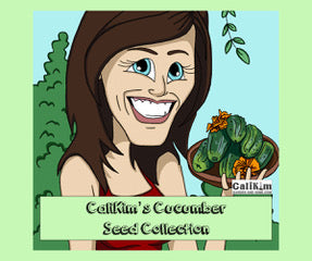 Cucumber Seed Collection (Heirloom) NEW VARIETIES JUST ADDED!