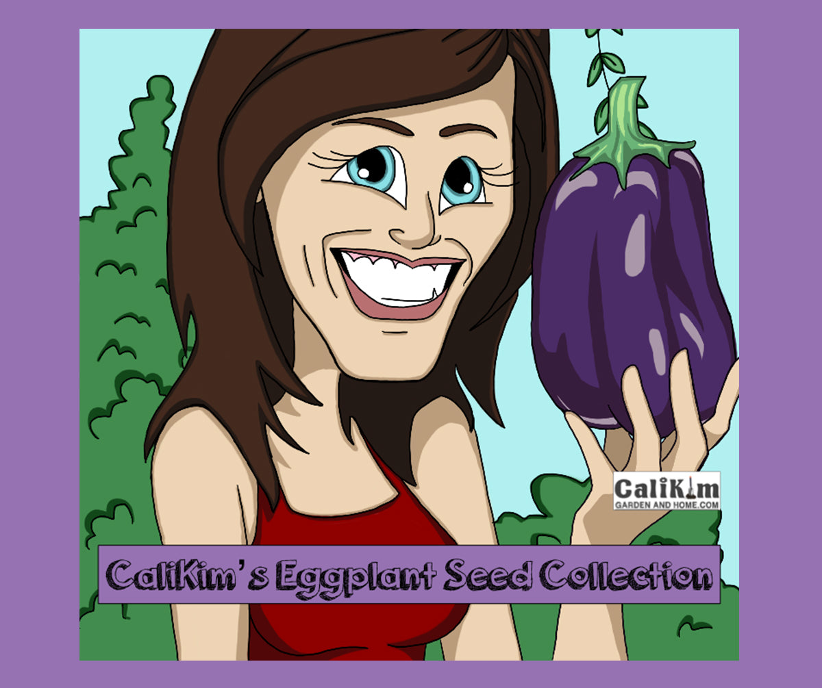 Eggplant Seed Collection (Heirloom) NEW VARIETIES JUST ADDED!