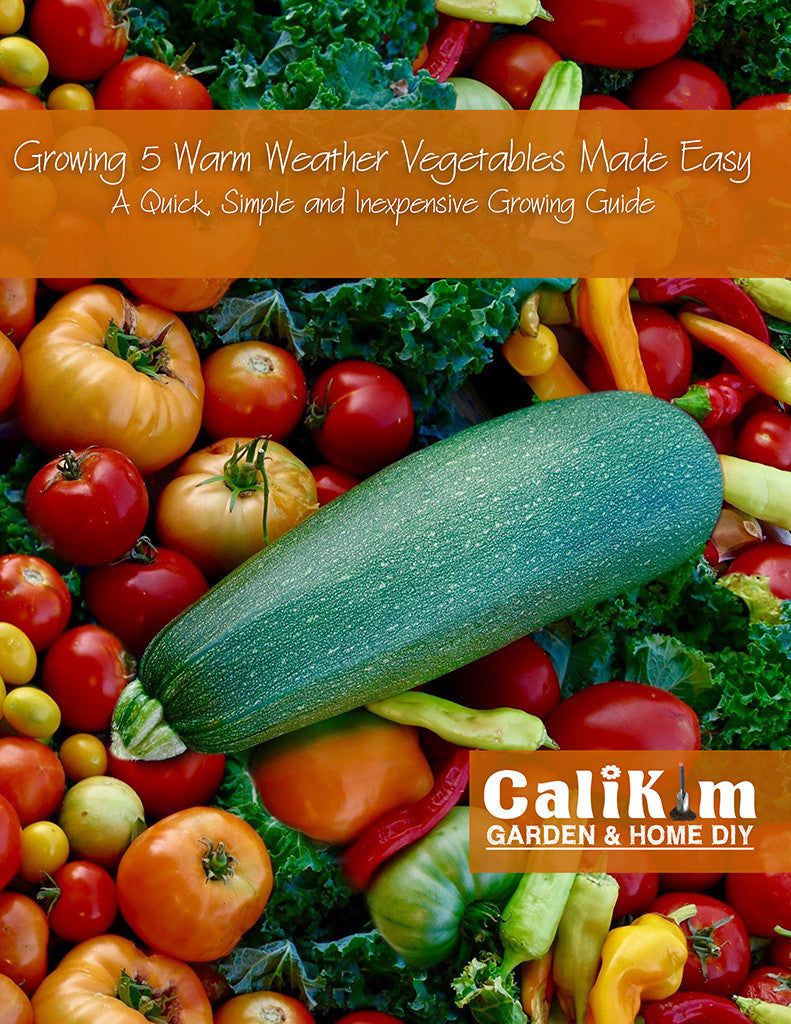 Growing 5 Warm Weather Vegetables Made Easy - 85 Page Color eBook-Plus 2 Free Bonuses
