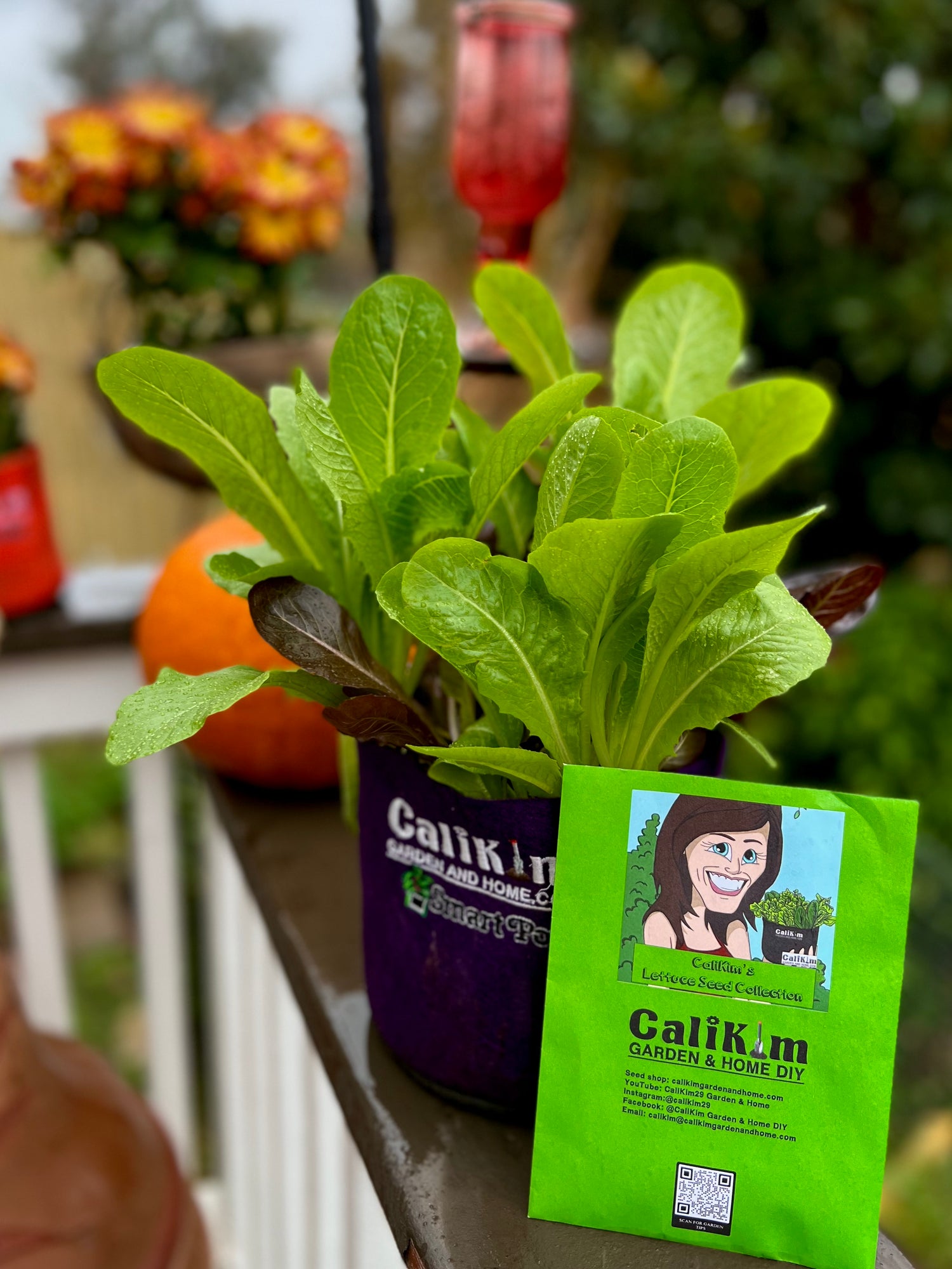 Organic Gardening for Everyone: Homegrown Vegetables Made Easy, Signed &amp; Personalized, with Lettuce Seed Collection