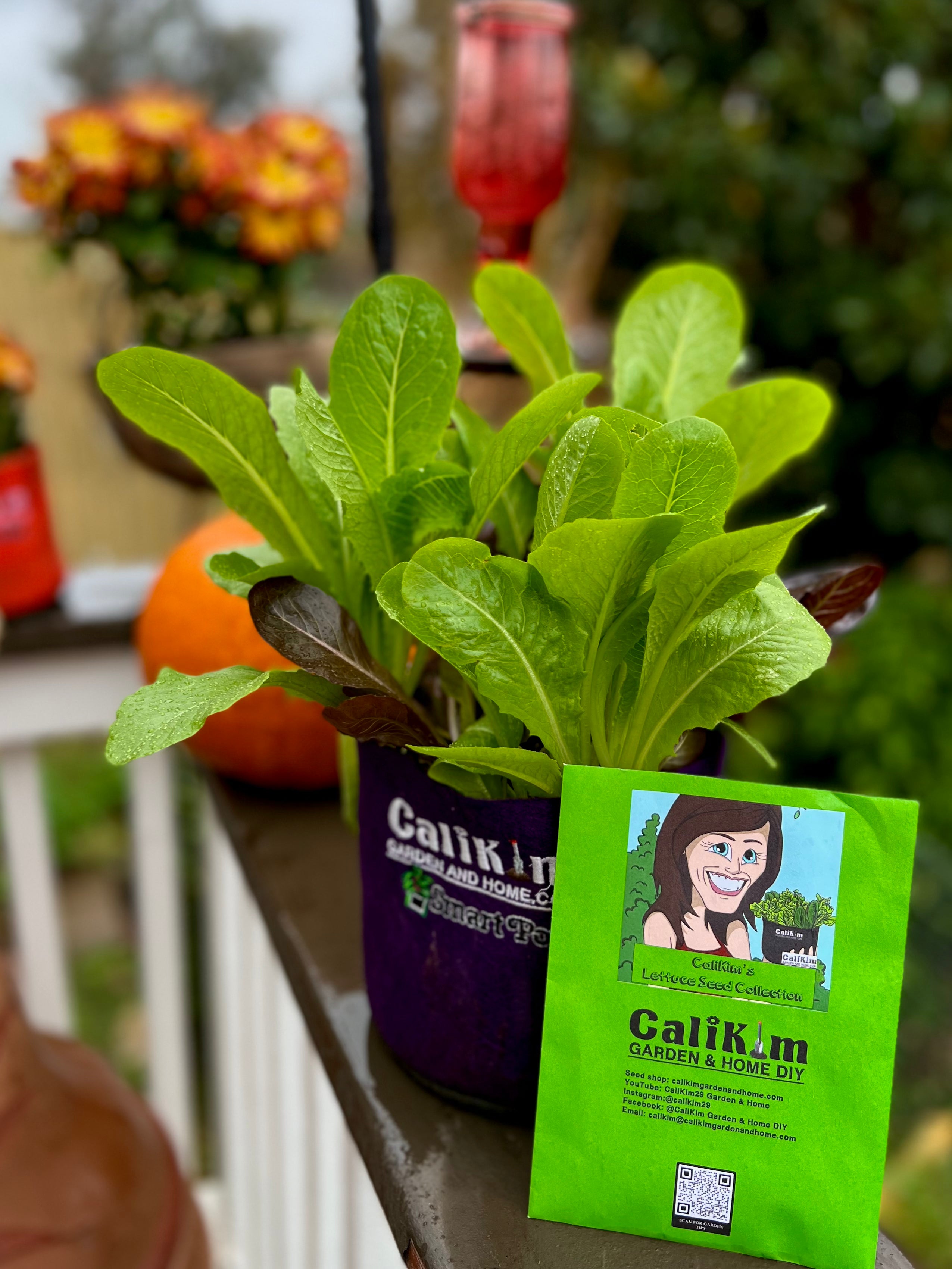 Organic Gardening for Everyone: Homegrown Vegetables Made Easy, Signed &amp; Personalized, with Lettuce Seed Collection -  Seed/Book Bundle