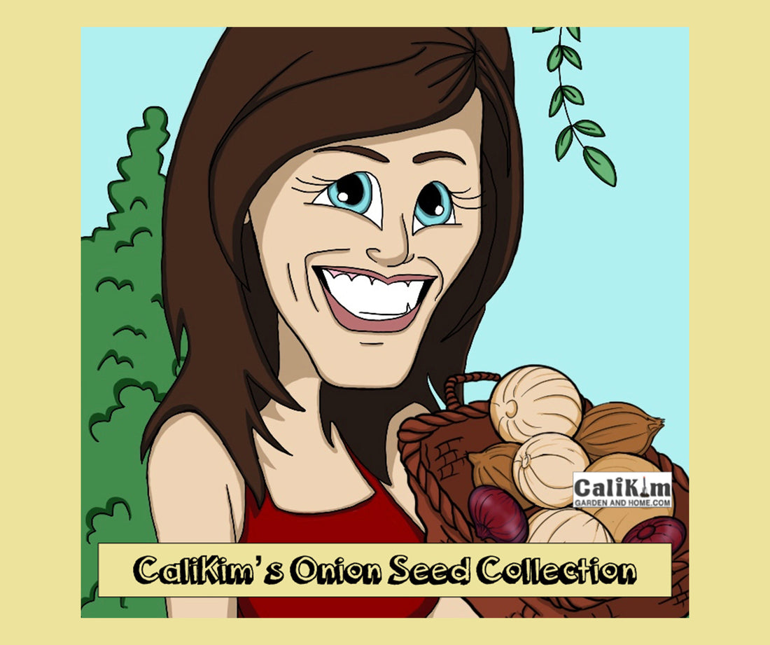 Onion Seed Collection