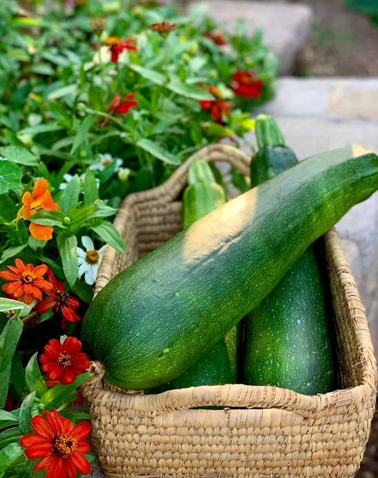 Organic Gardening for Everyone: Homegrown Vegetables Made Easy, Signed &amp; Personalized, with Spring Garden Seed Collection -  Seed/Book Bundle