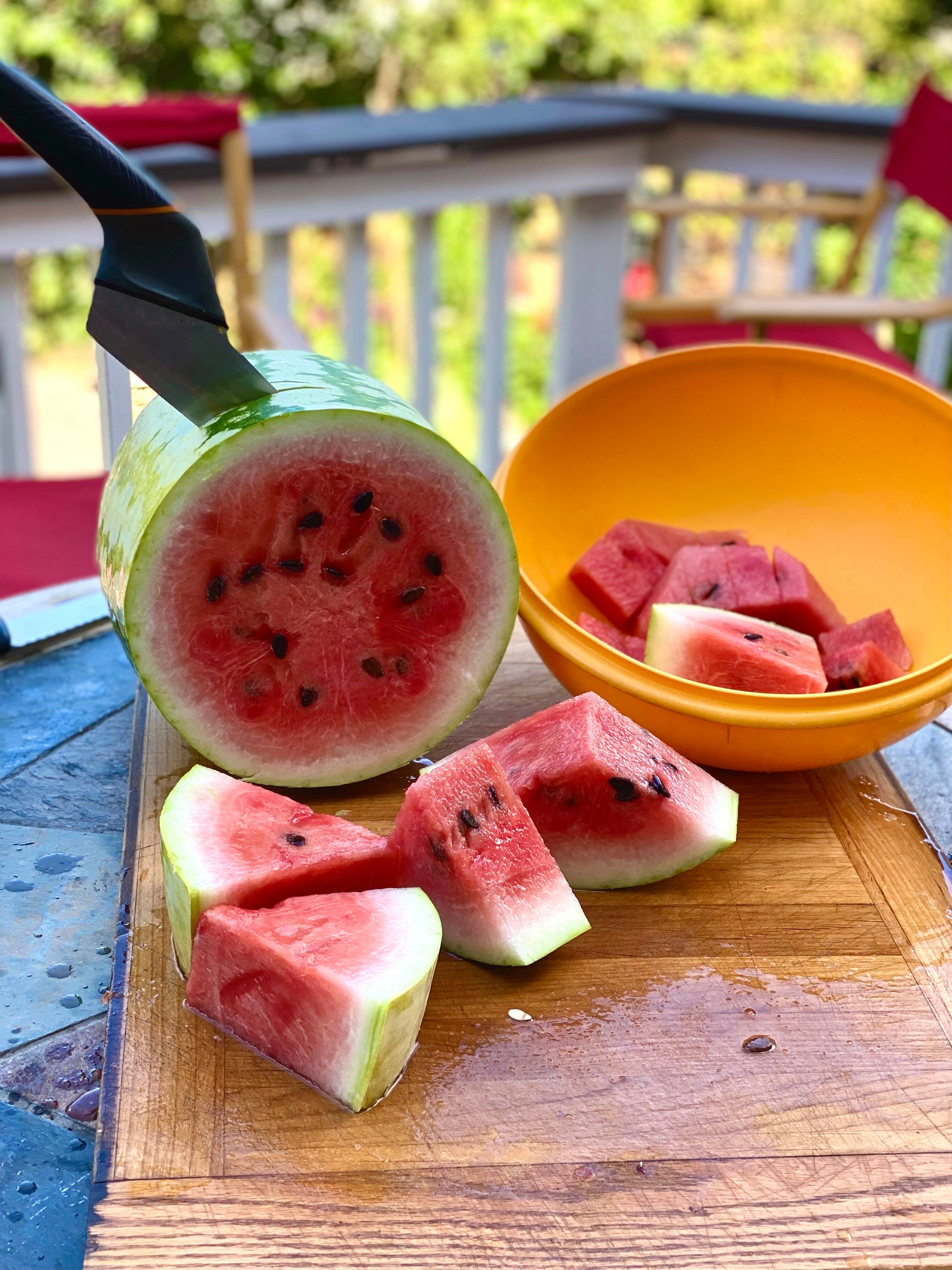 Melon Seed Collection (heirloom)